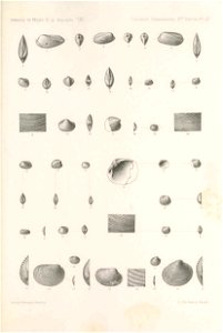 n364_w1150