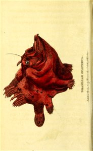 n179_w1150