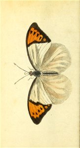 n423_w1150