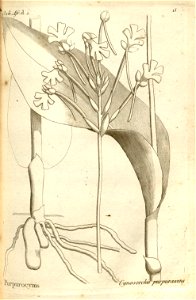 n58_w1150