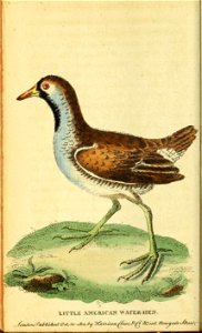 n405_w1150