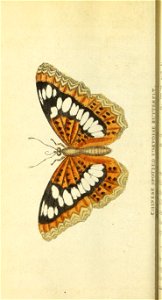 n399_w1150