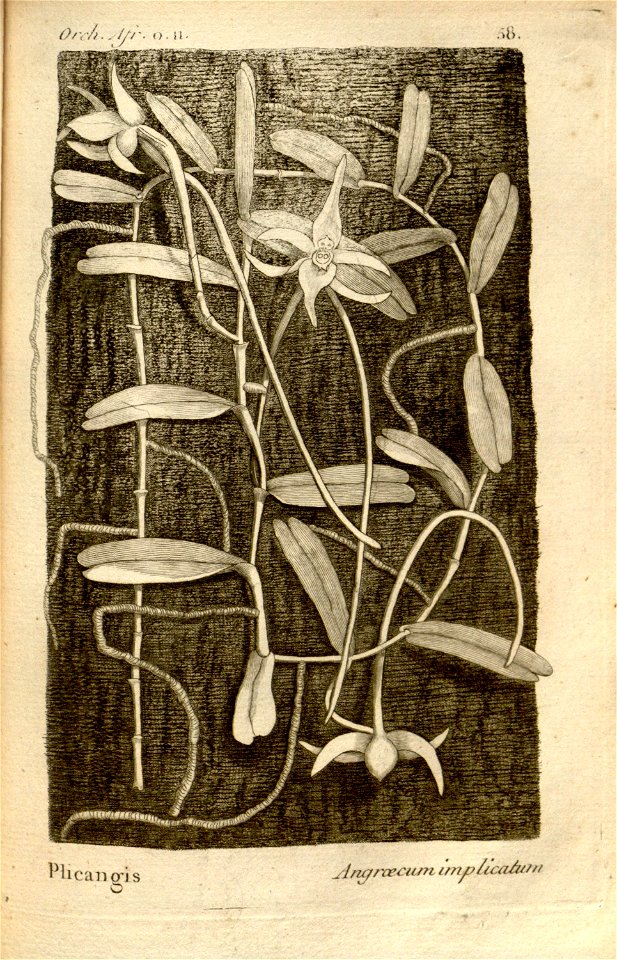 n101_w1150