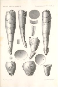 n468_w1150