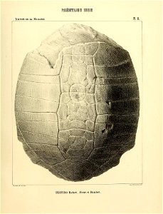 n84_w1150