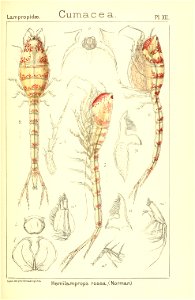 n156_w1150