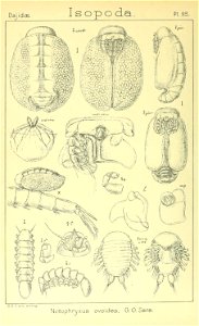 n475_w1150