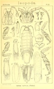 n348_w1150