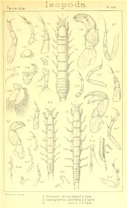 n312_w1150