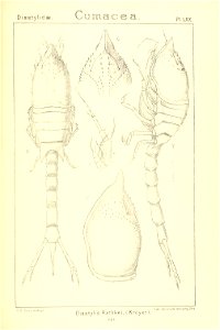 n272_w1150
