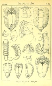 n471_w1150