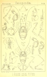 n420_w1150
