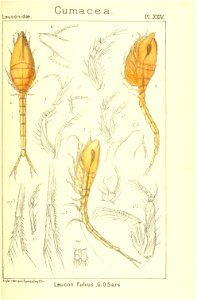 n180_w1150