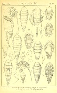 n468_w1150