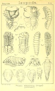 n467_w1150