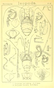 n419_w1150