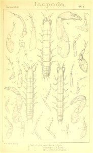 n304_w1150