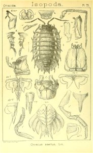 n435_w1150