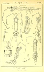 n359_w1150