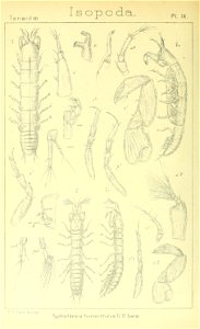 n303_w1150