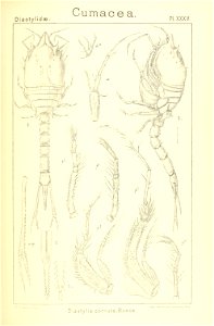n202_w1150