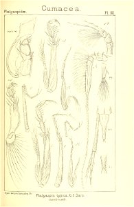 n172_w1150