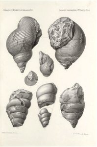 n222_w1150