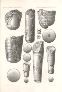 n494_w1150