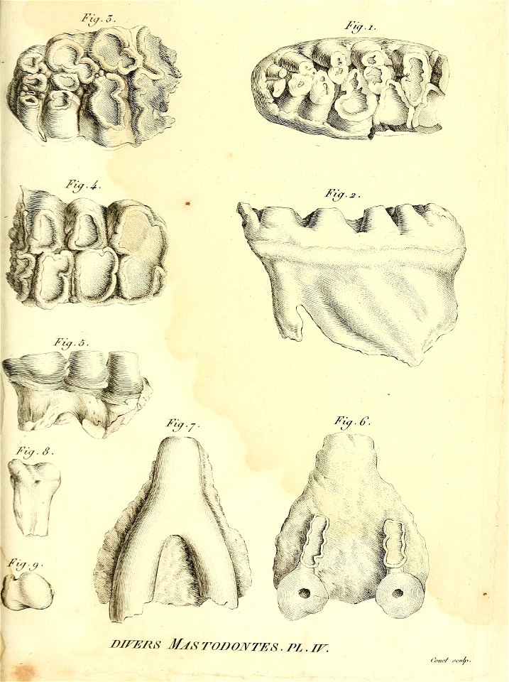 n458_w1150