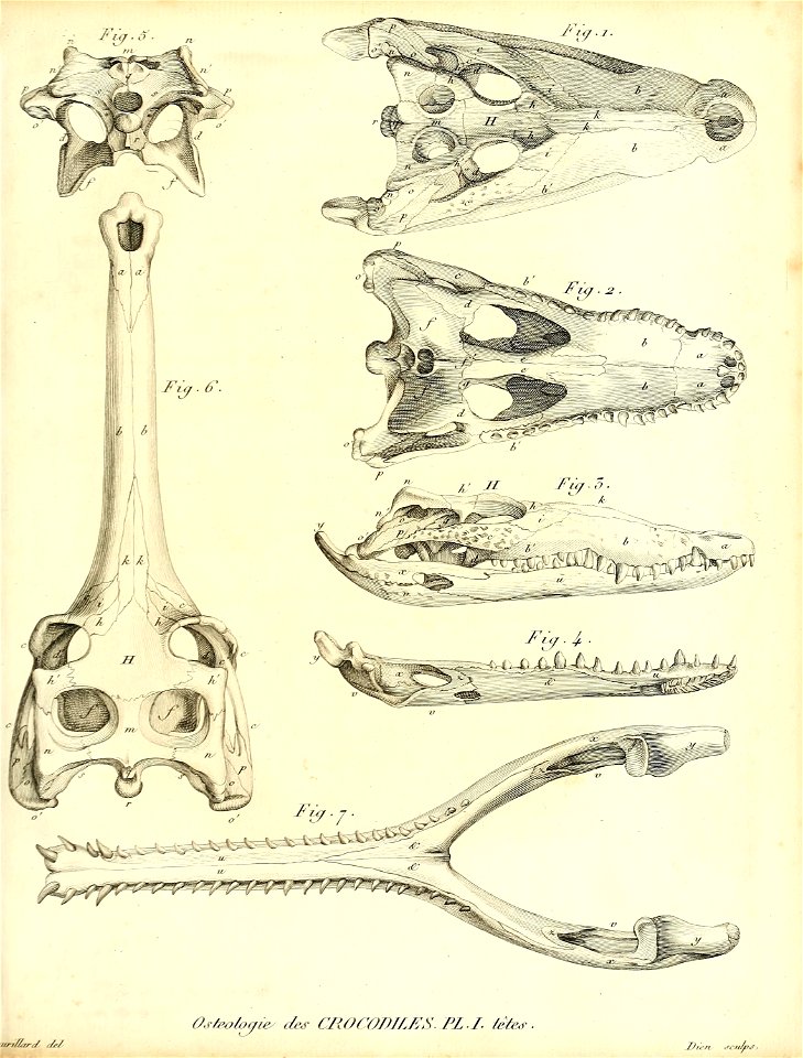 n552_w1150