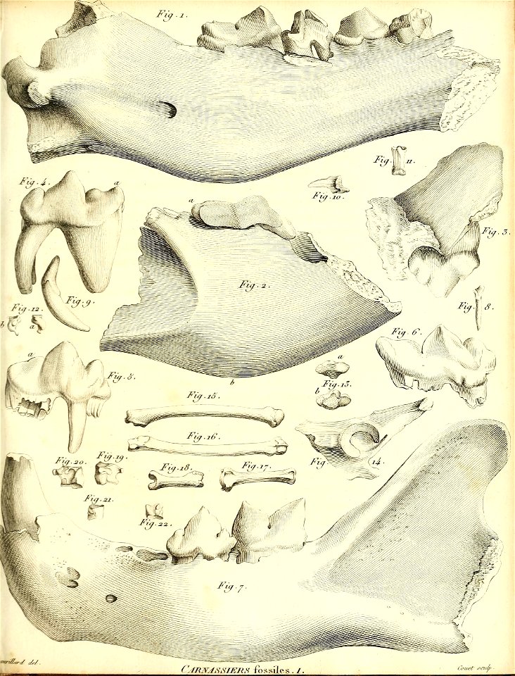 n278_w1150