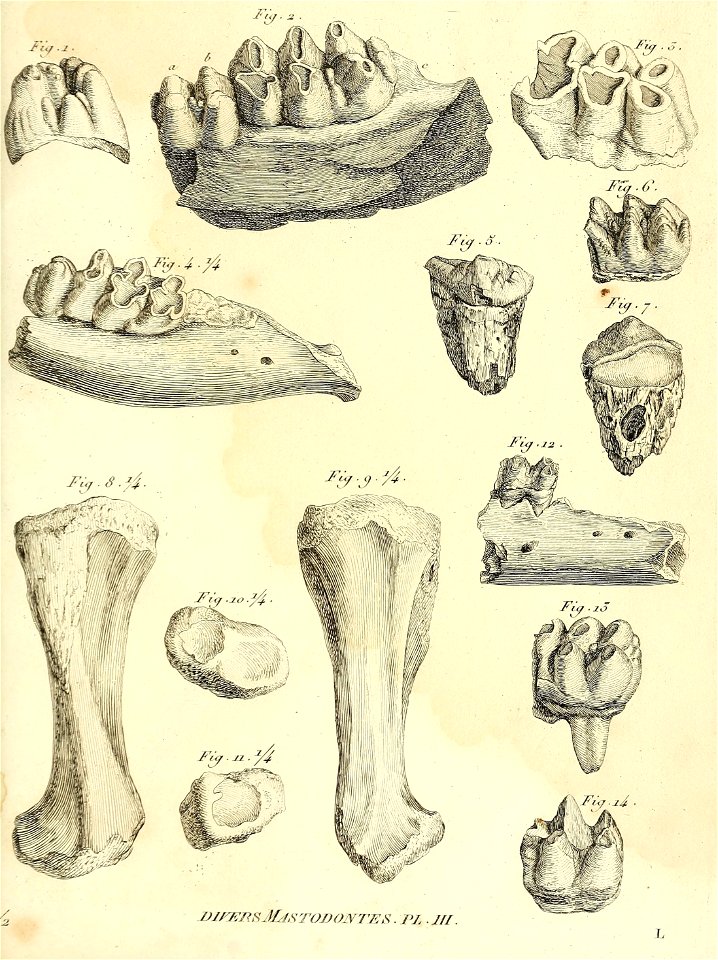 n456_w1150