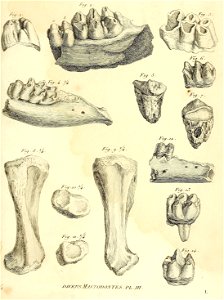n456_w1150