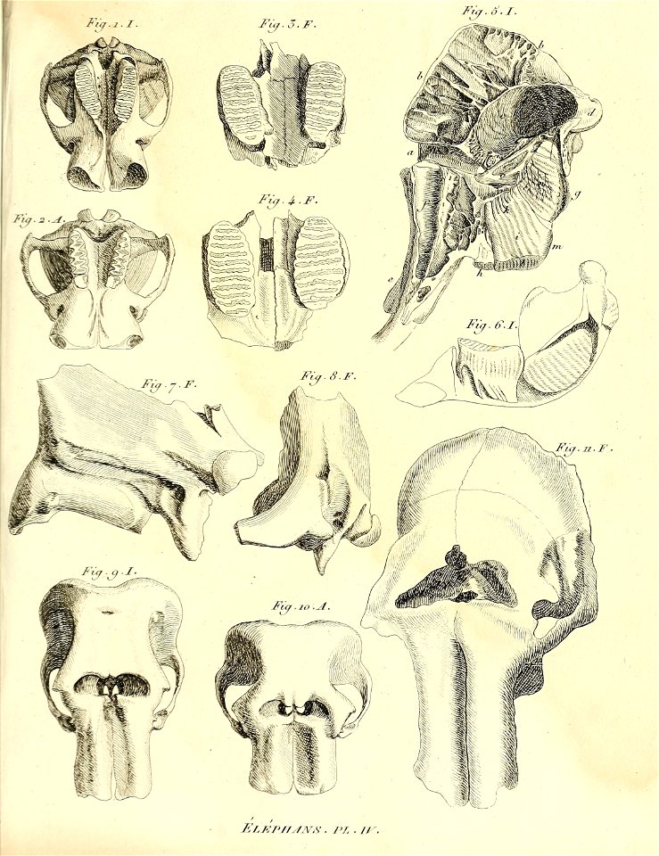 n362_w1150