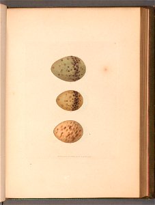 n122_w1150