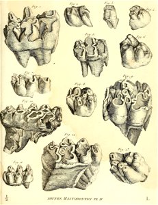 n454_w1150