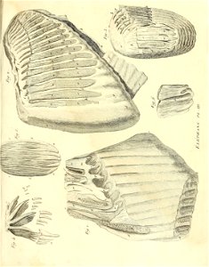 n360_w1150