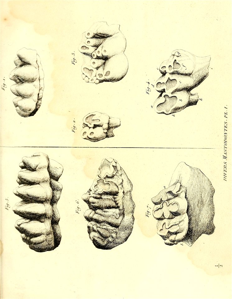 n452_w1150
