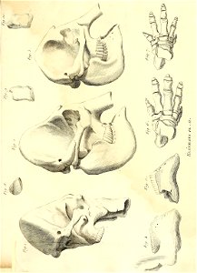 n358_w1150
