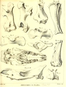 n108_w1150