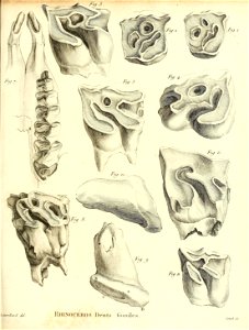 n106_w1150