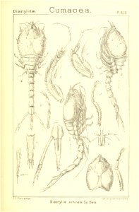 n218_w1150