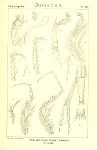 n158_w1150
