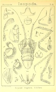 n423_w1150