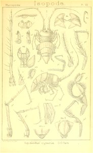 n408_w1150