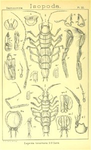 n395_w1150