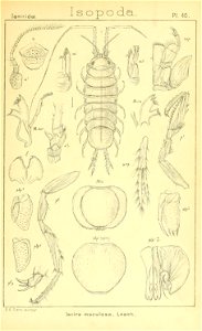 n364_w1150