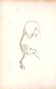 n211_w1150