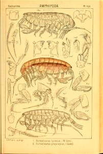 n122_w1150