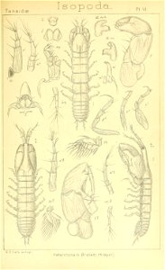 n296_w1150